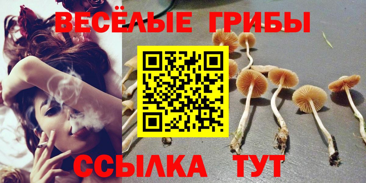 Псилоцибиновые грибы GOLDEN TEACHER  Вход с VPN  закладка  Воркута 